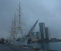 web_DSC_4739