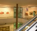 Polnische Kunst der Moderne (8) (Copy)