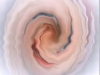 felcyn_2