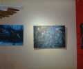 DSC_2391_web