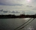 DSC03496