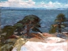 hpim5506_web