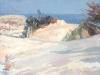 hpim5508_web