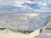 hpim5510_web