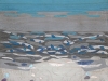 hpim5519_web