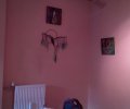 DSC00082