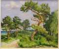 zocha_DSC07358_web